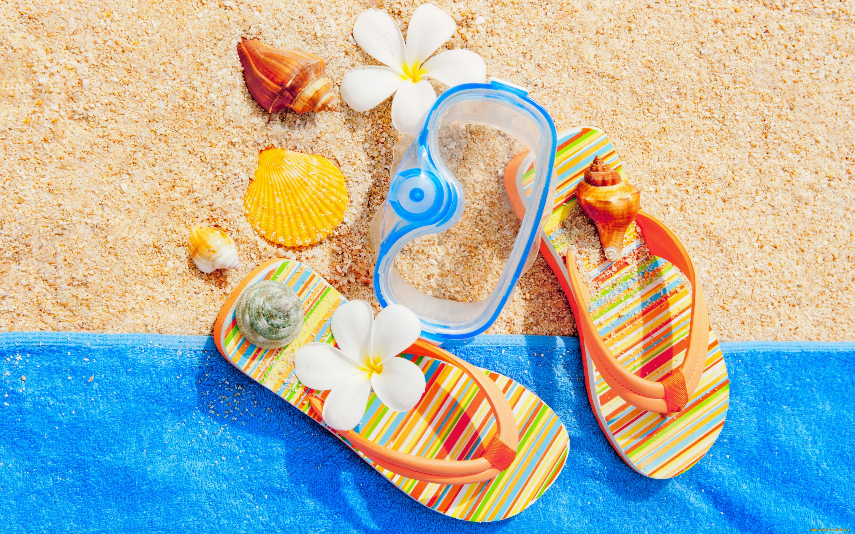 , ,  ,  ,  , summer, , , seashells, sand, accessories, beach, vacation, , , , 